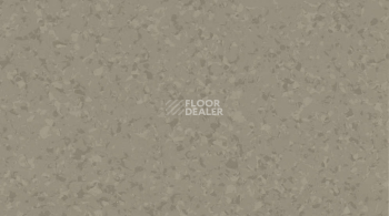 Линолеум Mipolam Symbioz 6043 WOOD фото 1 | FLOORDEALER